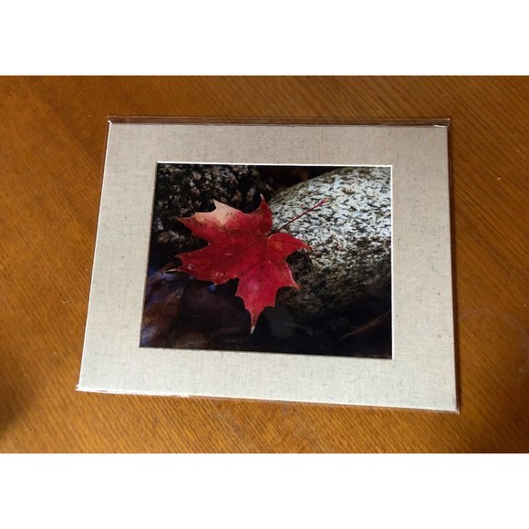 8x10 Red Maple Leaf Fine Art Photograph with Textured Mat - Picture 1 of 5